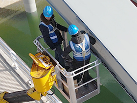 ��8ͷ�����(����)�ٷ���վ