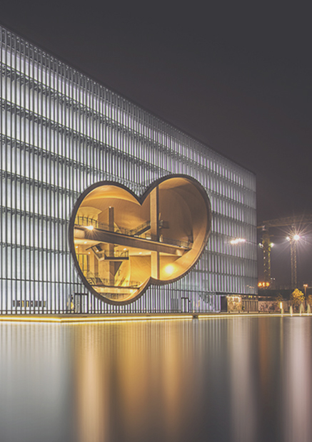 ��8ͷ�����(����)�ٷ���վ