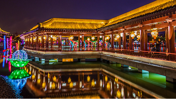 ��Ҫ�ٲο���ľ�����������������������������������Ż������ο�