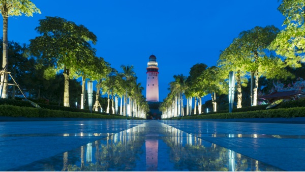 ��������Ӧ������ƹ��ն�ֲ��������Ӱ��