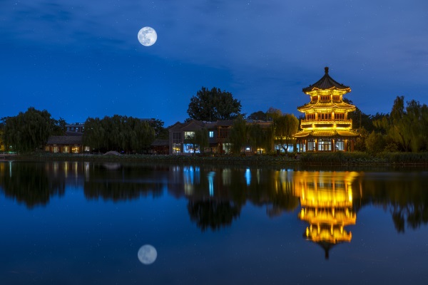 ���޽�������������