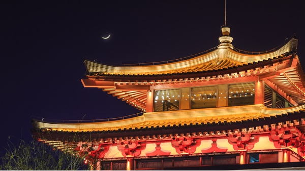 ������������������ƲŻ�������������������