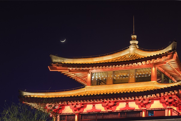 ������������������ƲŻ����������У�����