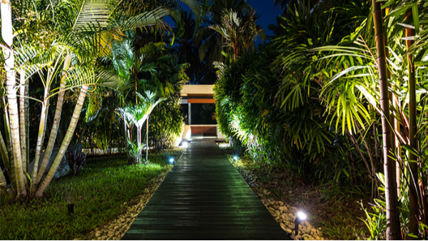 С���辶����Ϊס�������񾲵���������