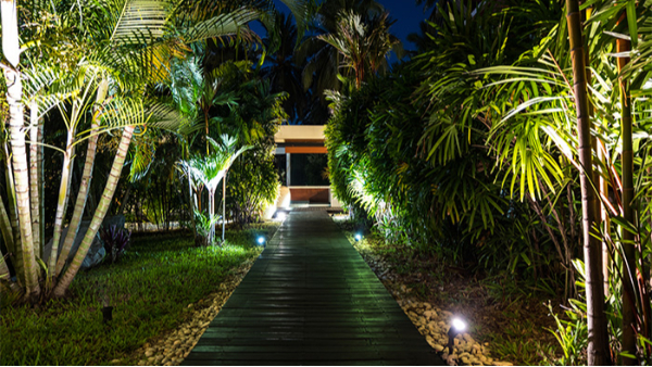 ԰�־�������������ƲŻ�������������������