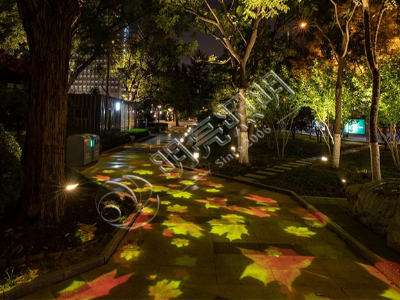 ȫϢ����ͶӰ-��������ʽ��������