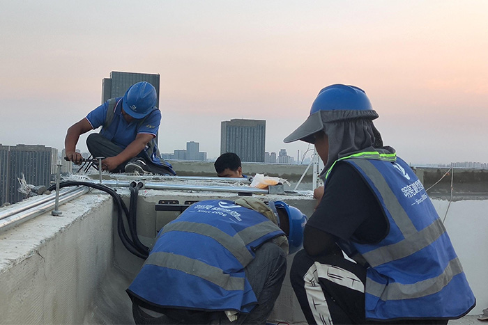 ��8ͷ���������8ͷ����һ�����ʩ���ֳ�