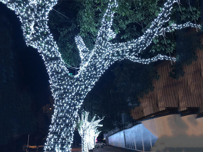 ��ľҹ������-�������Ķ���ҹ������