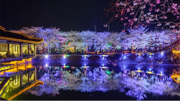 ԰�־��������ж�������Щ������������