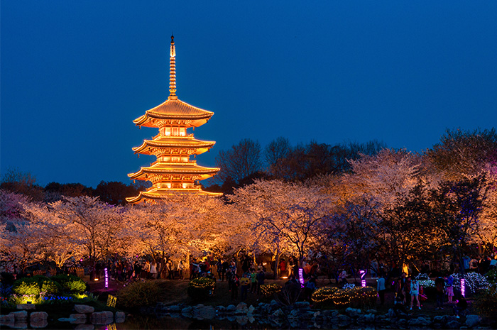 ԰���������