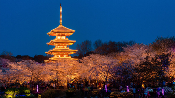 ԰������������ĸ�ԭ��Ҫ�Ͽ�ѿ�