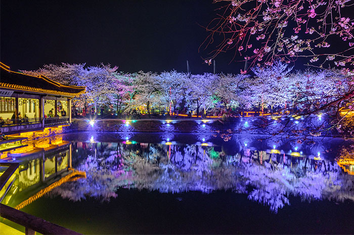 ԰������