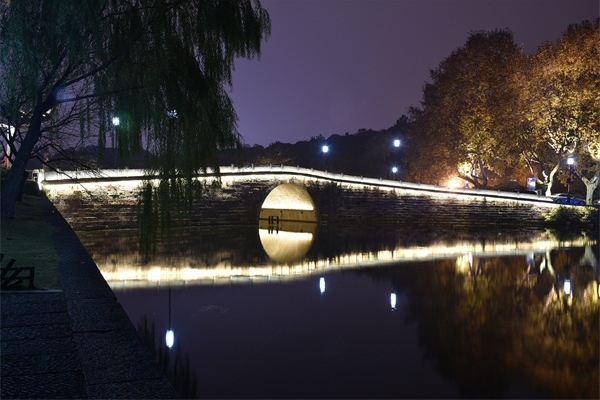 ��������������-�ں�����������ƹ�Ԫ��