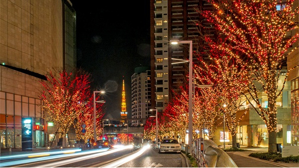 ��������ͤ���ֵ���������