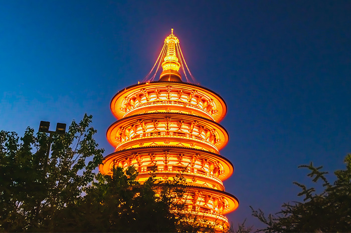 ����˸������