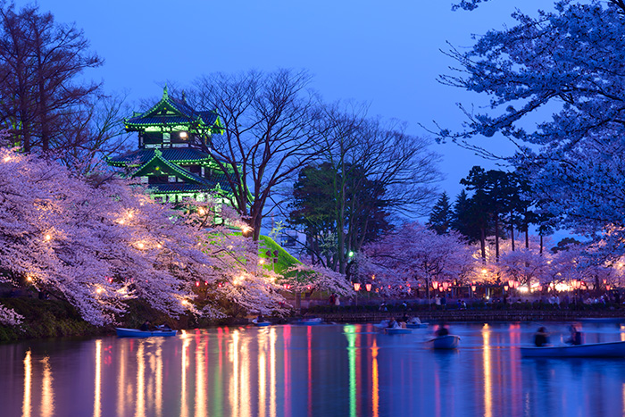 ��������˸�����