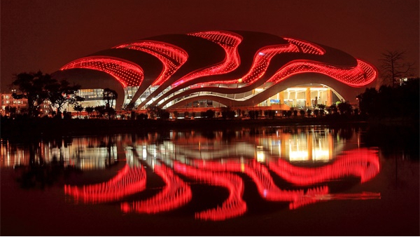 ������������Ҫ������ƲŻ���������������