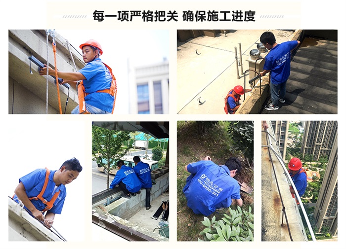 ��8ͷ���������8ͷ����һ�ʩ��