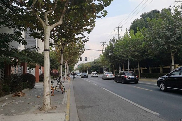 �辶ҹ����������ǰ