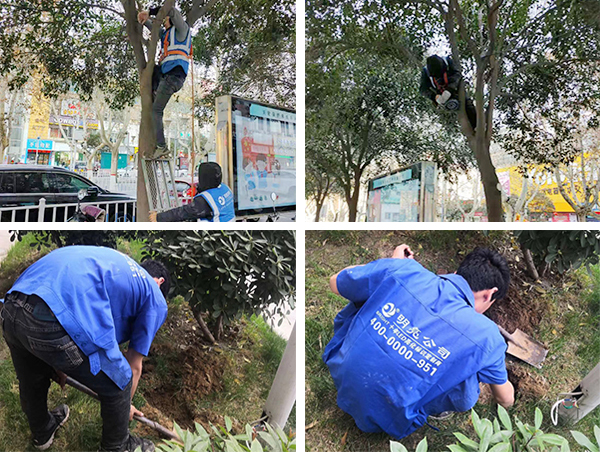 ֣���������辶ҹ����������ʩ���ֳ�