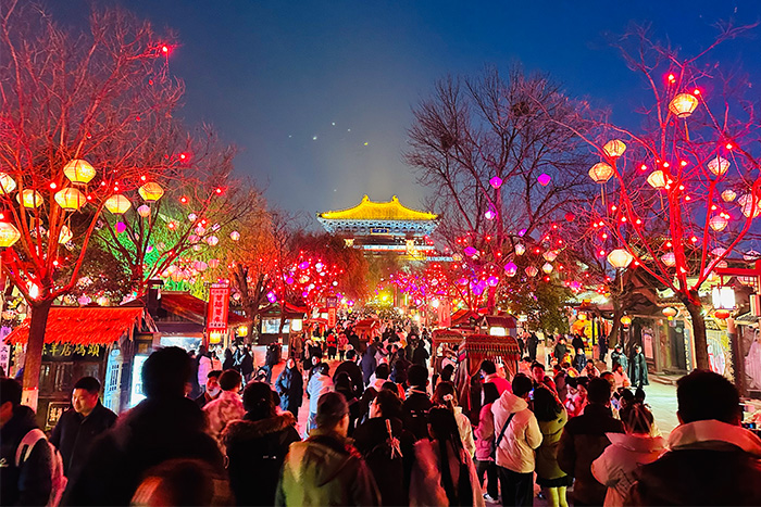 ���μ�ӭ������ڣ�����������ľ�������˸����������������������