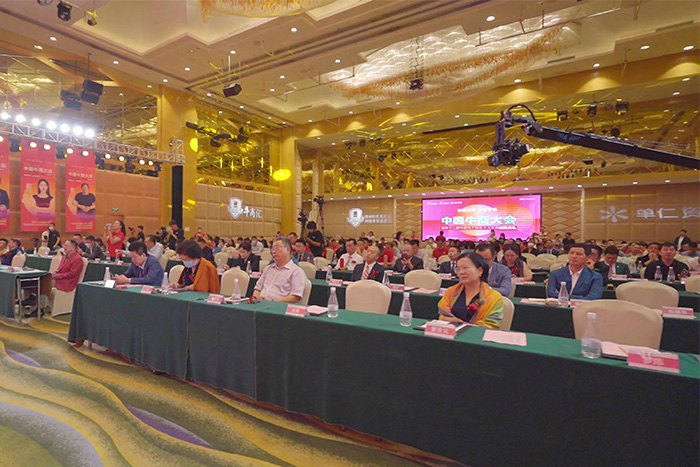 ��8ͷ��������������״��˾�����(��˸���)���������й�ţ�̴��