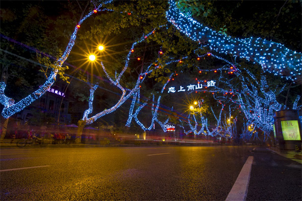 ��ľ��������