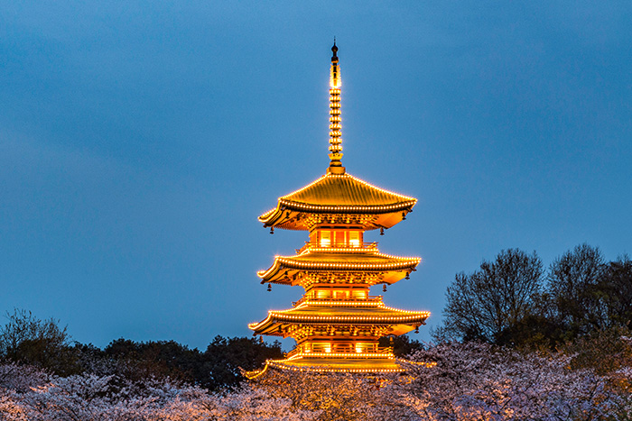 ��������˸��