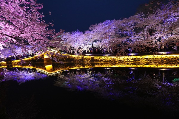 �ȼٱ�����������չ��ԭ��̬����Ȼ����