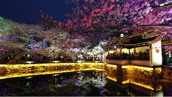 �����������̵����ú�����