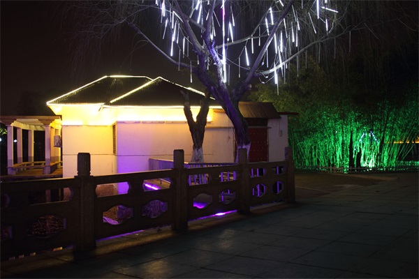 ����ҹ������