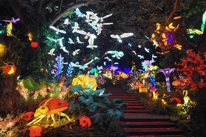 ��������˸������