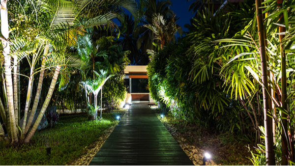 ԰��ҹ���������ԭ������ô��Ŀ���