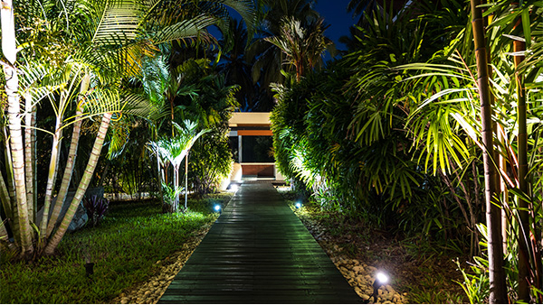 ԰�ֻ�������������ƾ֤԰�ֵĹ�Ч��������