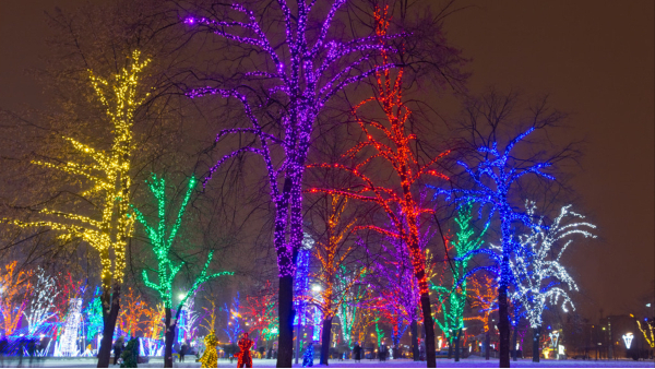 ��԰��ľ����Ҫ�к���ЩҪ����������������