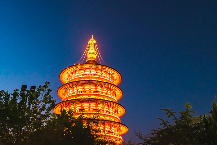 �Ž��������