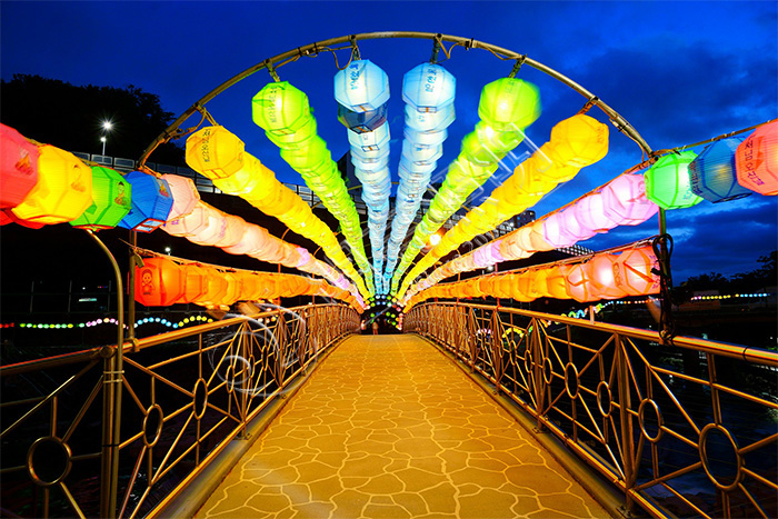 ���ڲʵ�����