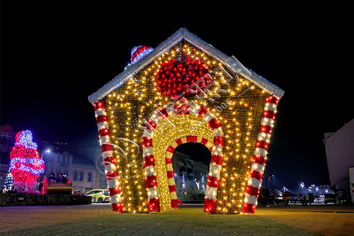 ���ղʵ����