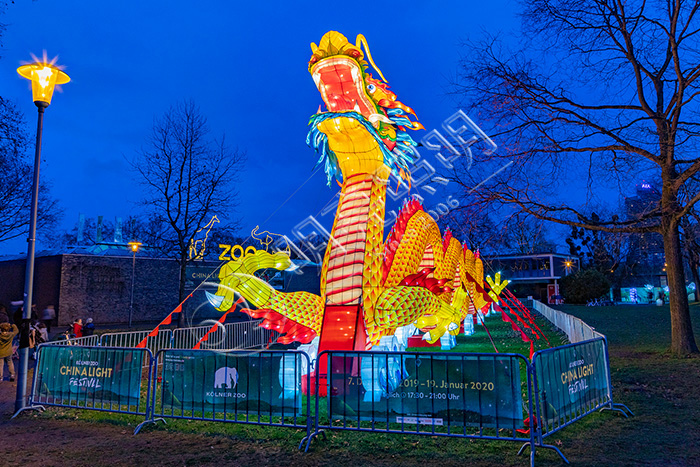 ������ƹ�˾