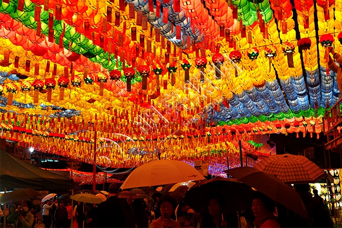 ���յ�������