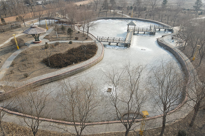 ��԰��������ǰЧ��