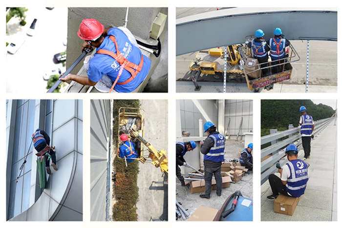 ��8ͷ�������������˸������ʩ���ֳ� - ����