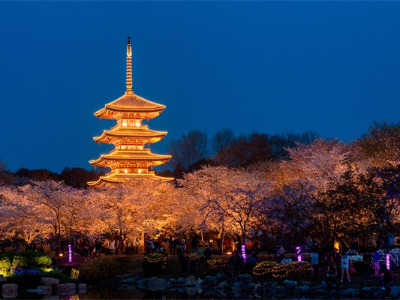 ԰�־�������-�Ƕ��᲻�ɻ�ȱ��һ��