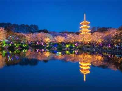 ԰���������-�����ƹ���龰������