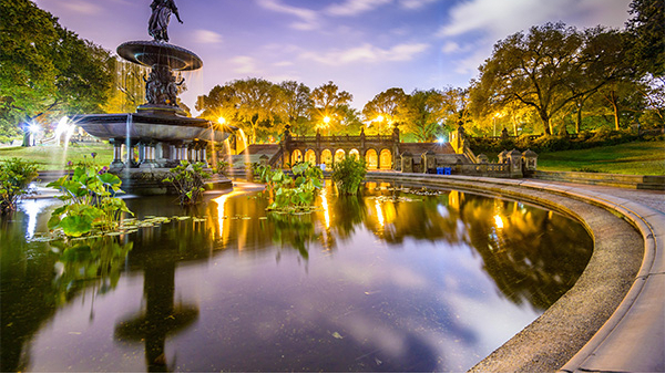 �㳡ҹ���ƹ���Ʒ�Ӧ��һ��������Ļ�����