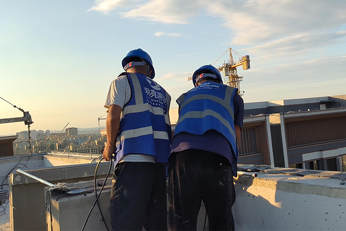 ��8ͷ�����������������ʩ���ֳ�