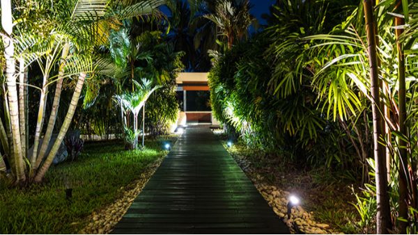 ��Ҫ���������οͣ�������������԰�ֲ���������������