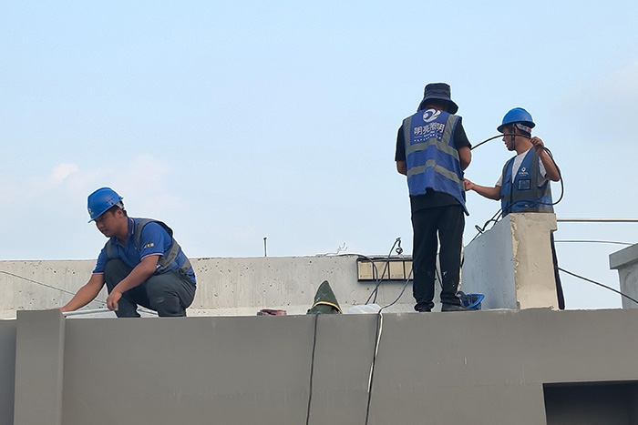 ��8ͷ�����������������ʩ���ֳ�