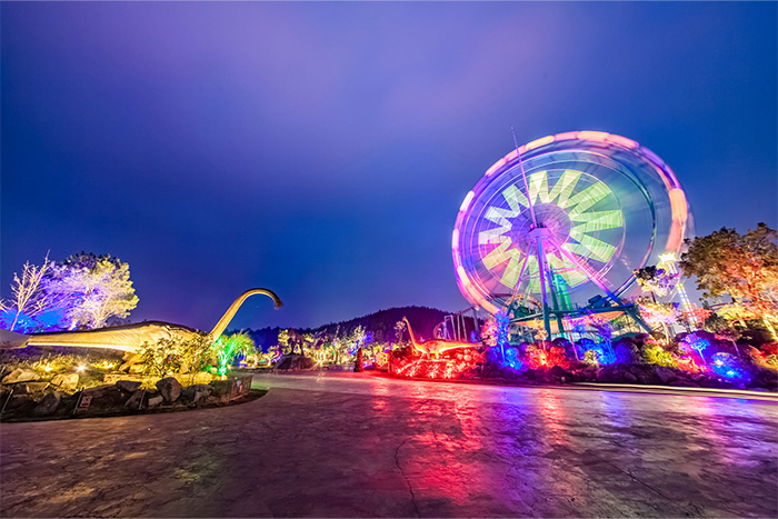 ��������˸��