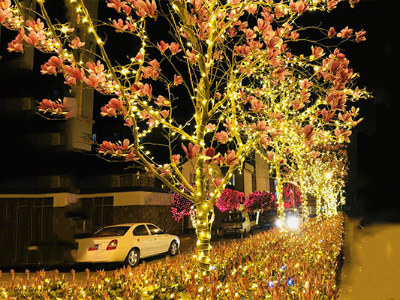 ��ľ����˸��-Ҫ֪��������׼